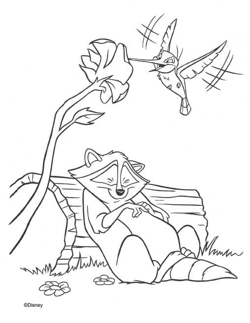 coloriage meeko et split l oiseau mouche
